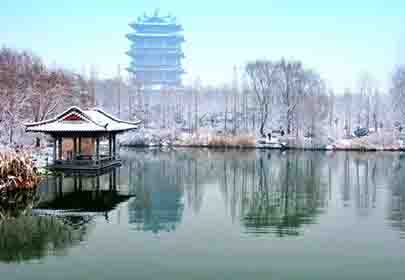 冬天，做個溫暖的人，努力向陽生長